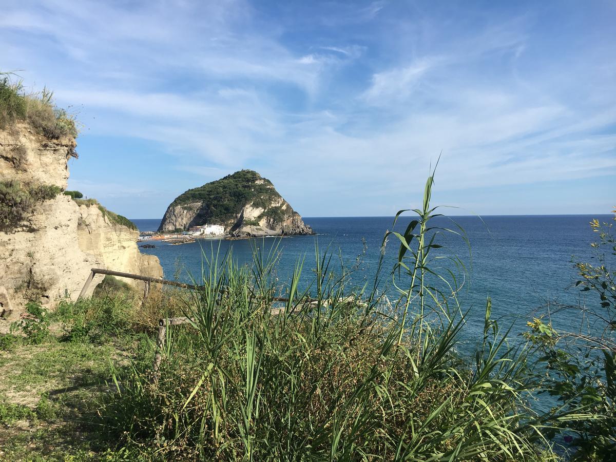 Hotel Villa Bina Sant'Angelo  Exteriér fotografie